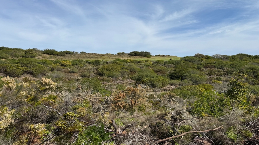 0 Bedroom Property for Sale in Pezula Golf Estate Western Cape